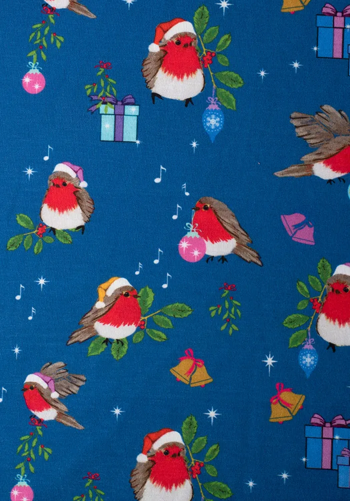 Children's Christmas Robin Print Dress (Rudy)