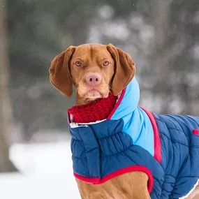 Dog Tube Scarf - Red